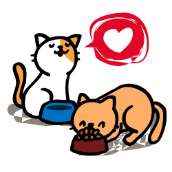 ブログランキング猫 貧乏・生活苦 人気ブログランキングとブログ検索